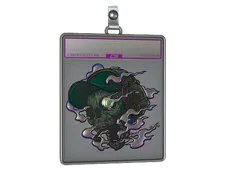 Skin's image