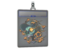Skin's image