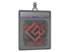 Sticker Slab | cool4st (Foil) | Austin 2025