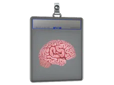Sticker Slab | CS On The Mind