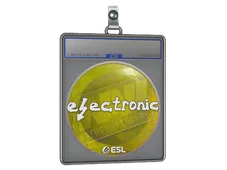 Sticker Slab | electronic | Katowice 2019