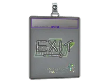Skin's image