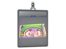 Skin's image