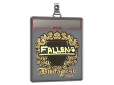 Sticker Slab | FalleN (Gold) | Budapest 2025