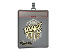 Sticker Slab | FlameZ (Gold) | Paris 2023