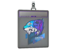 Sticker Slab | Flash Gaming (Holo) | Boston 2018