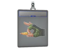 Sticker Slab | Flickshot