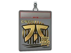 Sticker Slab | Fnatic (Gold) | 2020 RMR