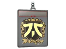 Sticker Slab | fnatic (Gold) | Budapest 2025