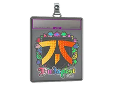Sticker Slab | fnatic (Holo) | Budapest 2025