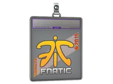 Sticker Slab | Fnatic (Holo) | Katowice 2015