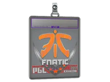 Sticker Slab | Fnatic (Holo) | Krakow 2017
