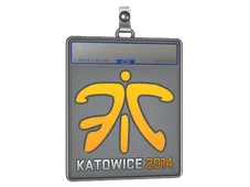 Sticker Slab | Fnatic | Katowice 2014