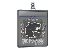 Sticker Slab | FURIA | Budapest 2025