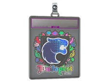 Sticker Slab | FURIA (Holo) | Budapest 2025