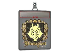 Sticker Slab | G2 esports (Gold) | Budapest 2025