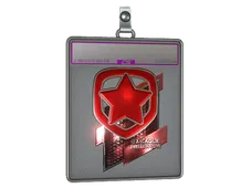 Sticker Slab | Gambit Esports (Foil) | Boston 2018