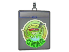 Sticker Slab | Green Gnar