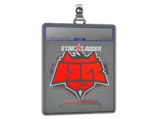 Sticker Slab | HellRaisers | Berlin 2019