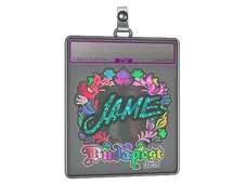 Sticker Slab | Jame (Holo) | Budapest 2025