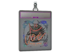 Sticker Slab | Jee (Holo) | Austin 2025