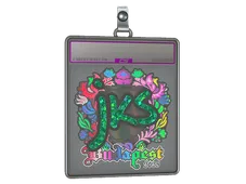 Sticker Slab | jks (Holo) | Budapest 2025