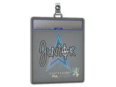 Sticker Slab | junior | Antwerp 2022