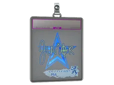 Sticker Slab | junior (Holo) | Antwerp 2022