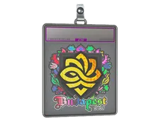 Sticker Slab | Legacy (Holo) | Budapest 2025
