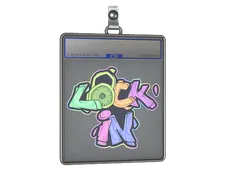 Skin's image