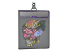 Skin's image