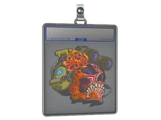 Skin's image