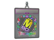 Sticker Slab | M80 (Holo) | Budapest 2025