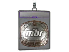 Sticker Slab | MIBR (Foil) | Austin 2025