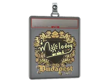 Sticker Slab | molodoy (Gold) | Budapest 2025