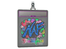 Sticker Slab | NAF (Holo) | Budapest 2025