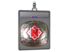 Sticker Slab | Nemiga (Foil) | Austin 2025