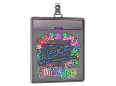 Sticker Slab | NertZ (Holo) | Budapest 2025