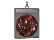 Sticker Slab | NiKo (Foil) | Katowice 2019