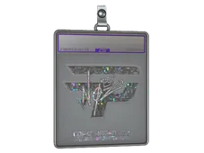 Skin's image
