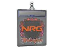 Sticker Slab | NRG | Budapest 2025
