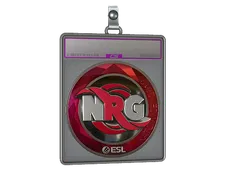 Sticker Slab | NRG (Foil) | Katowice 2019