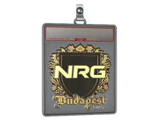 Sticker Slab | NRG (Gold) | Budapest 2025