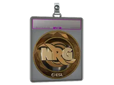 Sticker Slab | NRG (Gold) | Katowice 2019