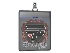 Sticker Slab | paiN Gaming | Budapest 2025