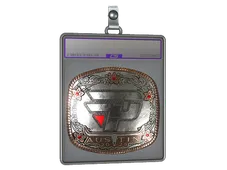 Sticker Slab | paiN Gaming (Foil) | Austin 2025