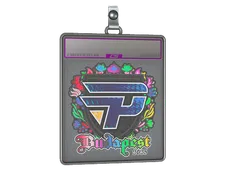 Sticker Slab | paiN Gaming (Holo) | Budapest 2025