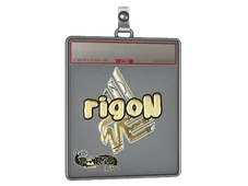 Skin's image