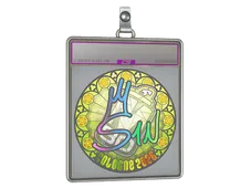 Sticker Slab | s1n (Holo) | Cologne 2026
