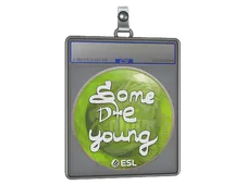 Sticker Slab | sdy | Katowice 2019